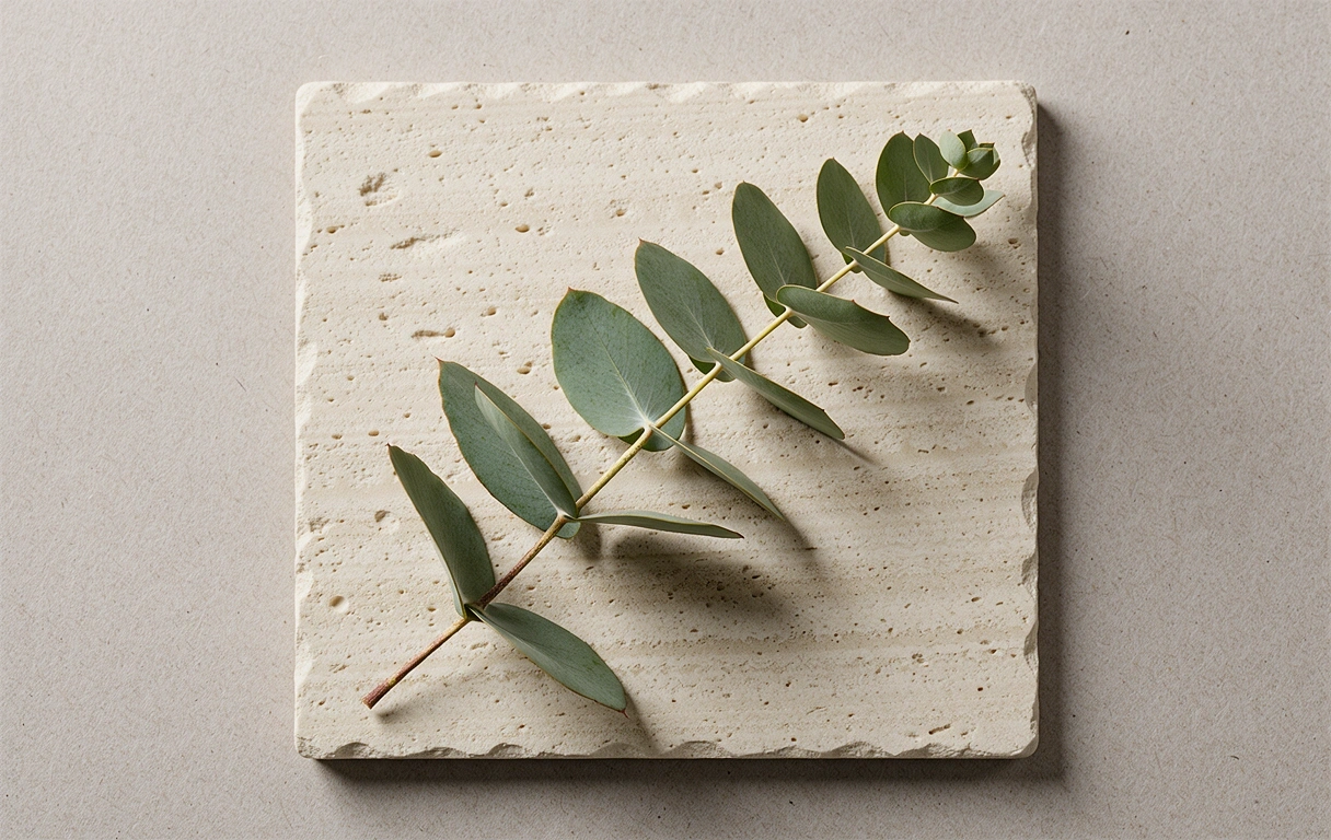 Botanical macro photography representing clinical precision